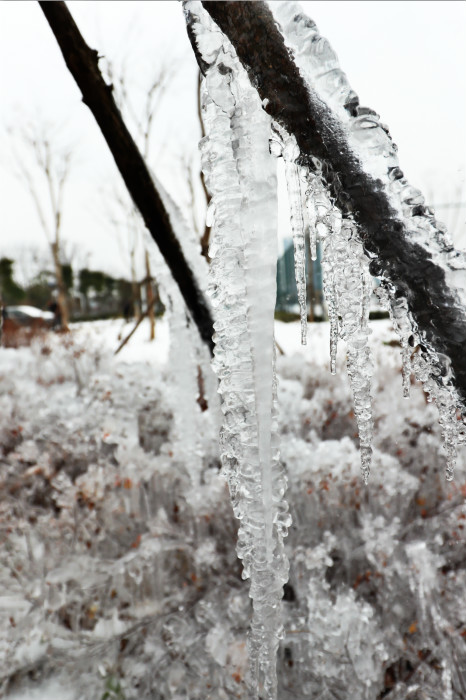一场雪,体育中心美得不要不要的 但最美的风景还是他们(图4) 一场雪,体育中心美得不要不要的 但最美的风景还是他们(图4)