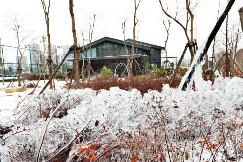 一场雪,体育中心美得不要不要的 但最美的风景还是他们(图3) 一场雪,体育中心美得不要不要的 但最美的风景还是他们(图3)