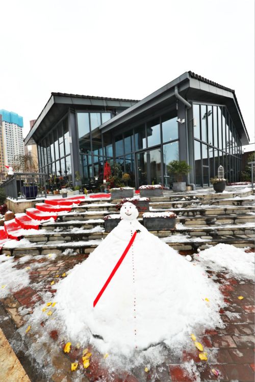 一场雪,体育中心美得不要不要的 但最美的风景还是他们(图11) 一场雪,体育中心美得不要不要的 但最美的风景还是他们(图11)
