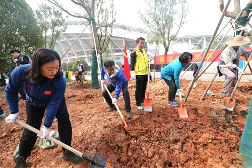 体育中心开展植树活动</br>建香樟大道为军运会建设添绿(图1) 体育中心开展植树活动</br>建香樟大道为军运会建设添绿(图1)
