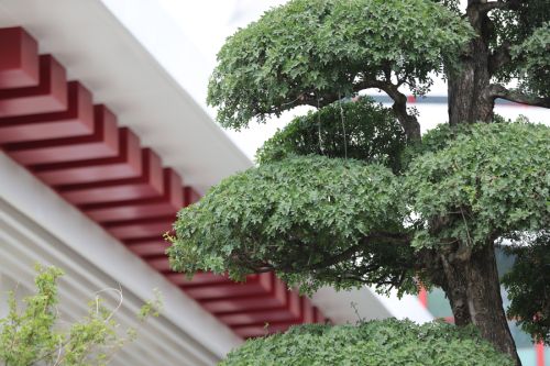 熊猫体育中心的颜值(图6) 熊猫体育中心的颜值(图6)
