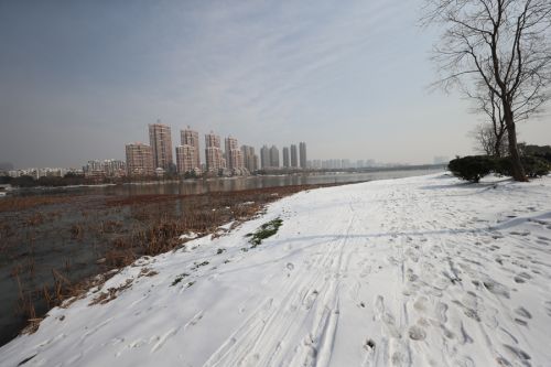 我们都是追梦人(图1) 我们都是追梦人(图1)
