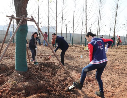 公司领导参加全区义务植树活动(图1) 公司领导参加全区义务植树活动(图1)